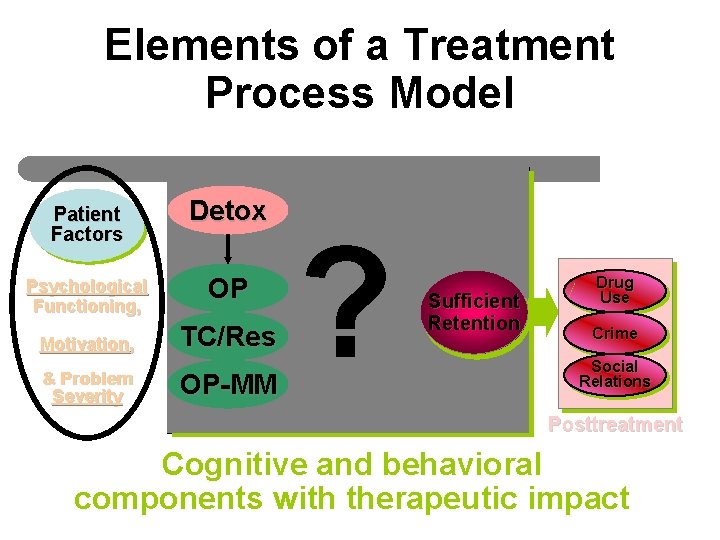 Elements of a Treatment Process Model Patient Factors Detox Psychological Functioning, OP Motivation, TC/Res