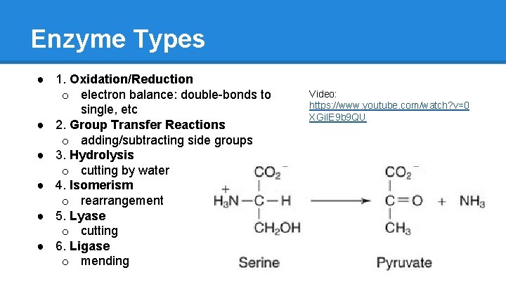 Enzyme Types ● 1. Oxidation/Reduction o electron balance: double-bonds to single, etc ● 2.