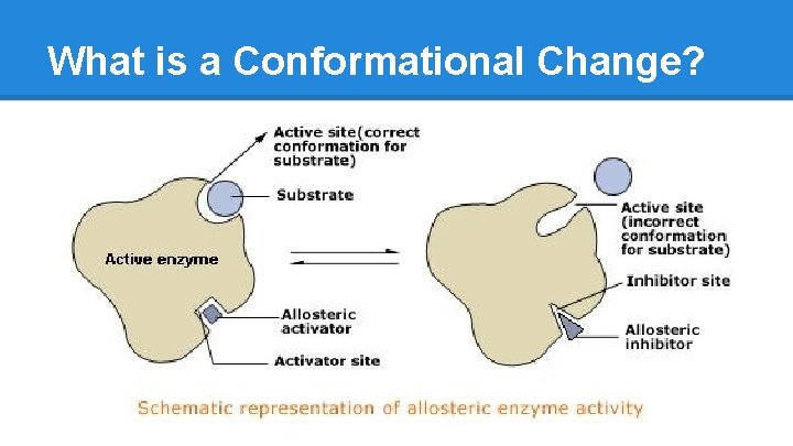 What is a Conformational Change? 