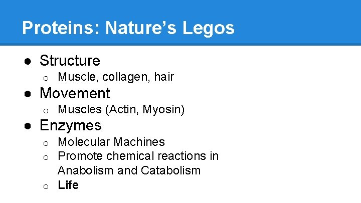 Proteins: Nature’s Legos ● Structure o Muscle, collagen, hair ● Movement o Muscles (Actin,