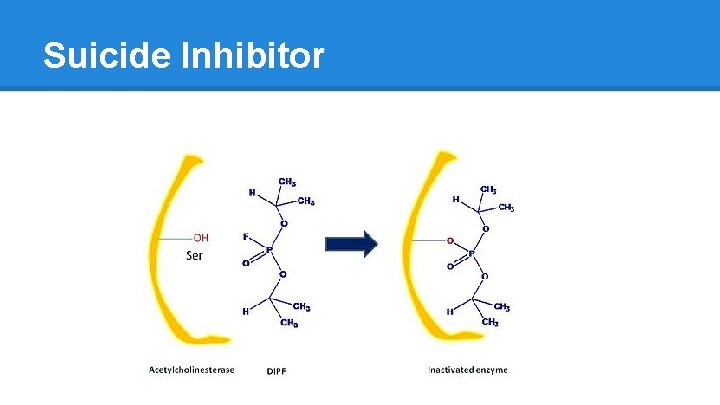 Suicide Inhibitor 