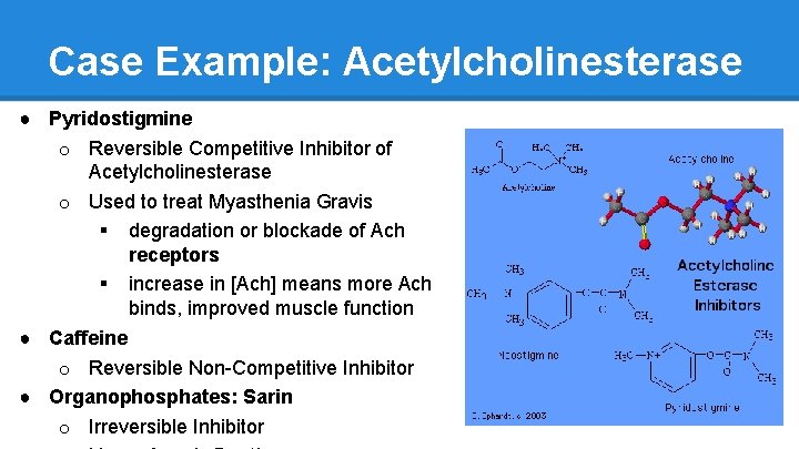 Case Example: Acetylcholinesterase ● Pyridostigmine o Reversible Competitive Inhibitor of Acetylcholinesterase o Used to
