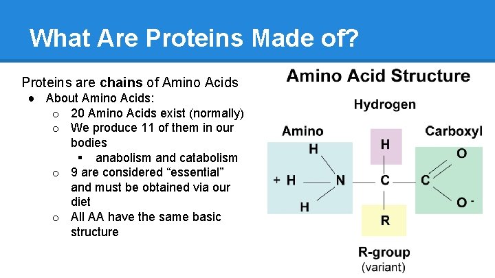 What Are Proteins Made of? Proteins are chains of Amino Acids ● About Amino