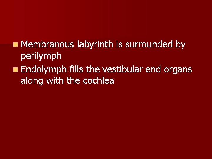 n Membranous labyrinth is surrounded by perilymph n Endolymph fills the vestibular end organs