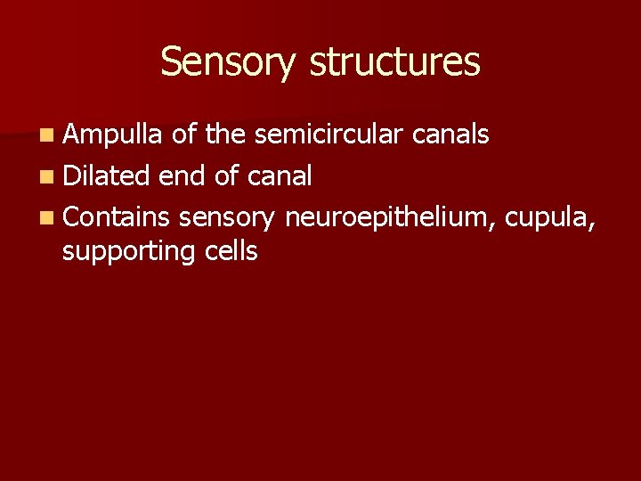 Sensory structures n Ampulla of the semicircular canals n Dilated end of canal n