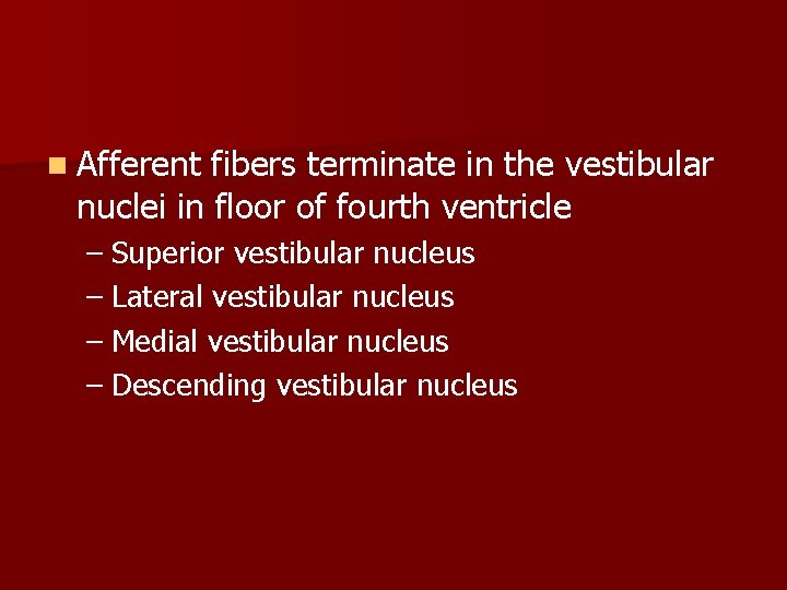 n Afferent fibers terminate in the vestibular nuclei in floor of fourth ventricle –