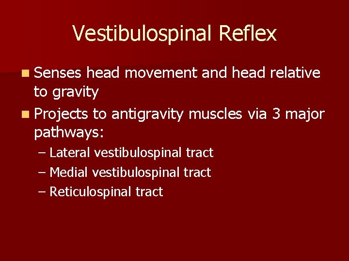 Vestibulospinal Reflex n Senses head movement and head relative to gravity n Projects to
