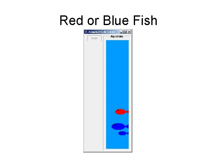 Red or Blue Fish 