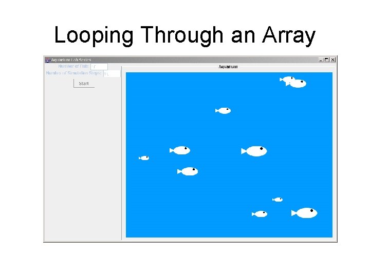 Looping Through an Array 