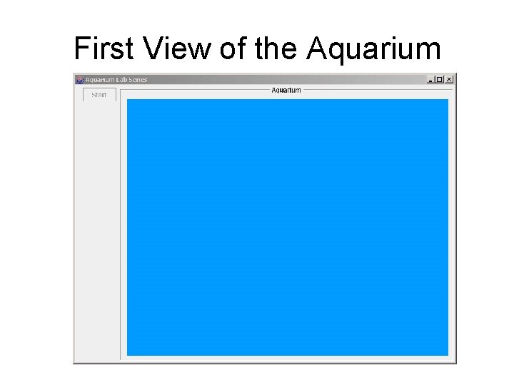 First View of the Aquarium 