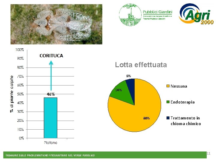 Lotta effettuata 6% Nessuna 14% Endoterapia 80% INDAGINE SULLE PROBLEMATICHE FITOSANITARIE NEL VERDE PUBBLICO