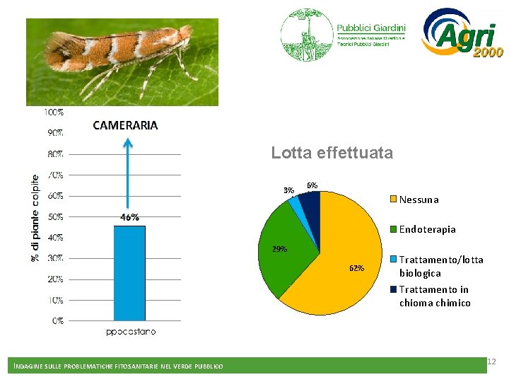 Lotta effettuata 3% 6% Nessuna Endoterapia 29% 62% INDAGINE SULLE PROBLEMATICHE FITOSANITARIE NEL VERDE