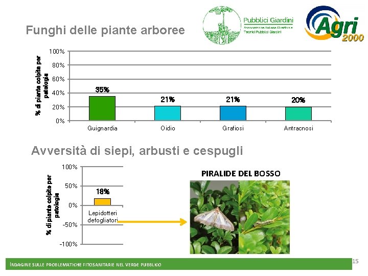 Funghi delle piante arboree % di piante colpite per patologia 100% 80% 60% 35%