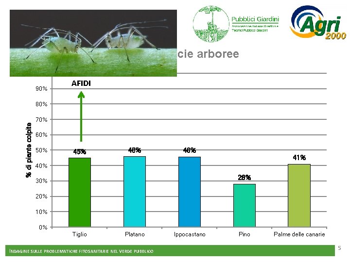 Principali fitofagi delle specie arboree 100% 90% AFIDI % di piante colpite 80% 70%