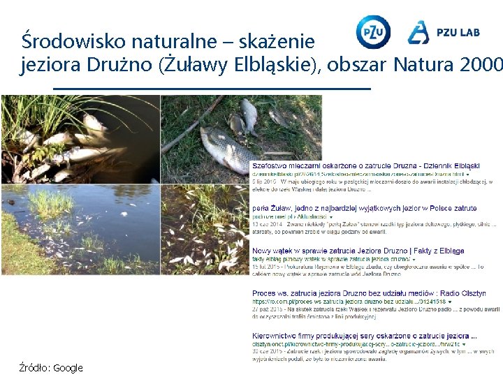 Środowisko naturalne – skażenie jeziora Drużno (Żuławy Elbląskie), obszar Natura 2000 Źródło: Google 
