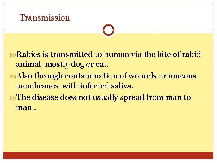 Transmission Rabies is transmitted to human via the bite of rabid animal, mostly dog