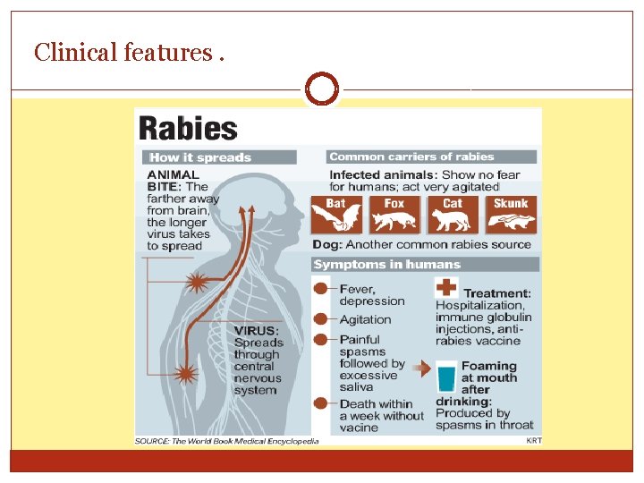 Clinical features. 