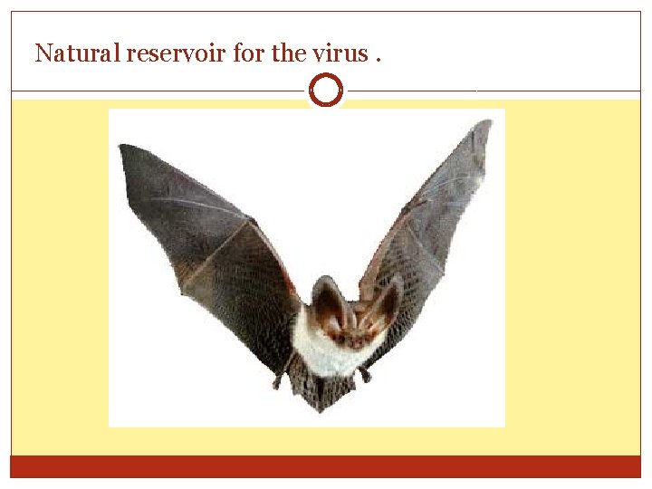 Natural reservoir for the virus. 