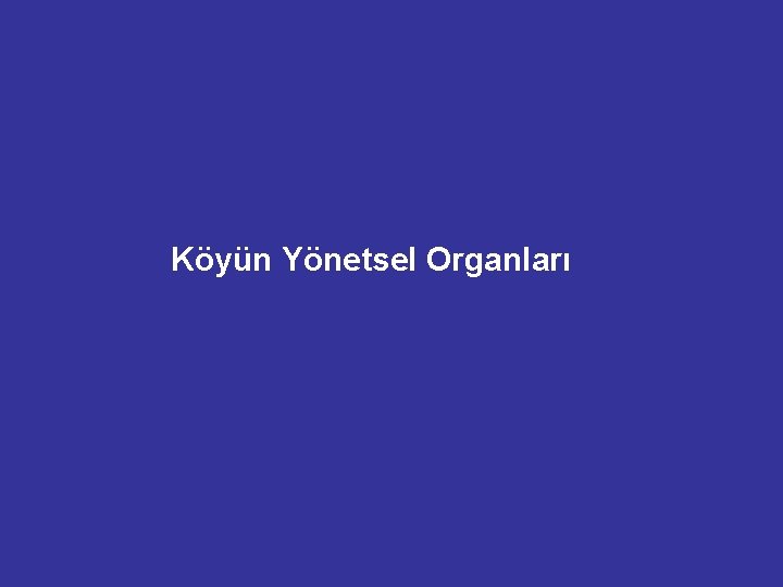 Köyün Yönetsel Organları 