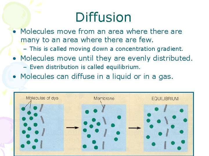 Diffusion • Molecules move from an area where there are many to an area