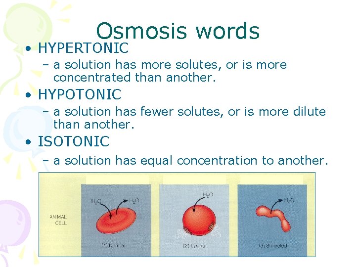 Osmosis words • HYPERTONIC – a solution has more solutes, or is more concentrated