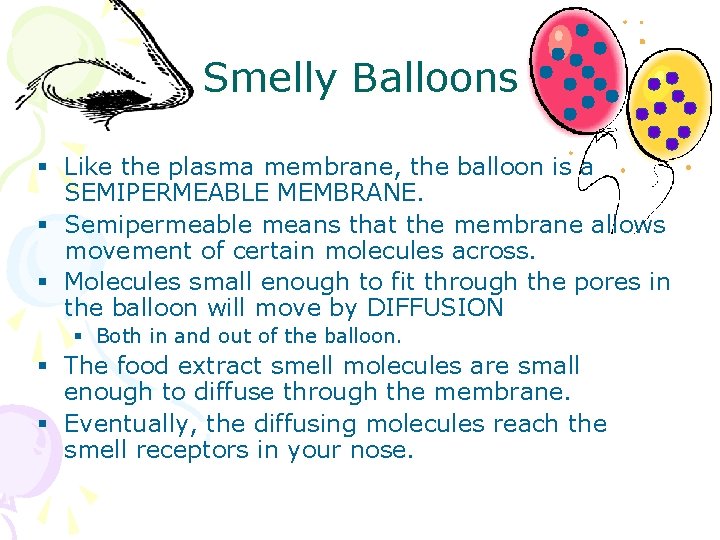 Smelly Balloons § Like the plasma membrane, the balloon is a SEMIPERMEABLE MEMBRANE. §