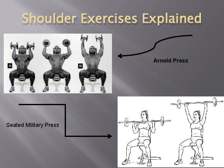 Shoulder Exercises Explained Arnold Press Seated Military Press 