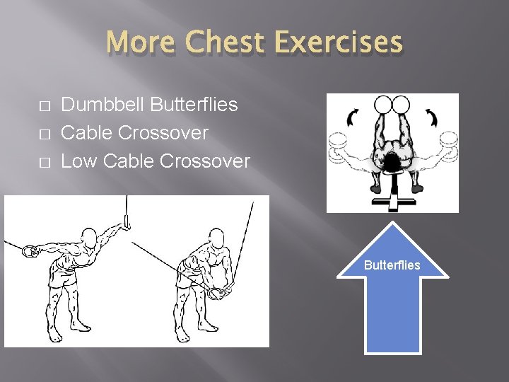 More Chest Exercises � � � Dumbbell Butterflies Cable Crossover Low Cable Crossover Butterflies