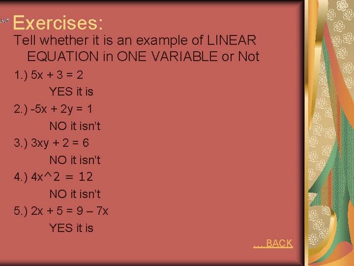 Exercises: Tell whether it is an example of LINEAR EQUATION in ONE VARIABLE or