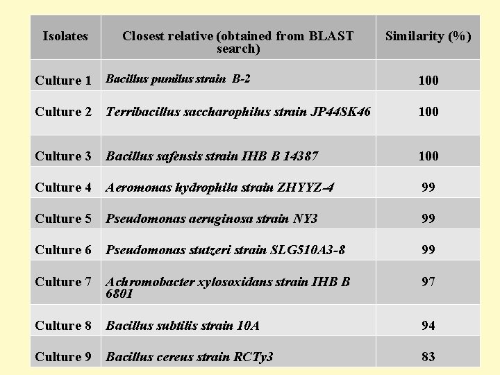Isolates Closest relative (obtained from BLAST search) Similarity (%) Culture 1 Bacillus pumilus strain