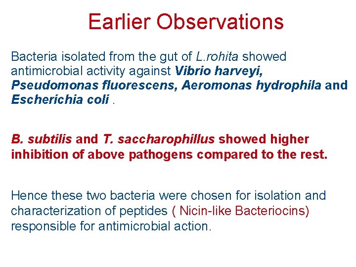 Earlier Observations Bacteria isolated from the gut of L. rohita showed antimicrobial activity against