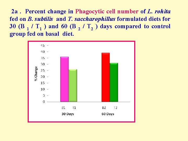  2 a. Percent change in Phagocytic cell number of L. rohita fed on