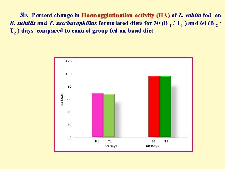  3 b. Percent change in Haemagglutination activity (HA) of L. rohita fed on