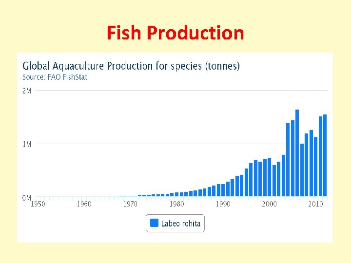 Fish Production 