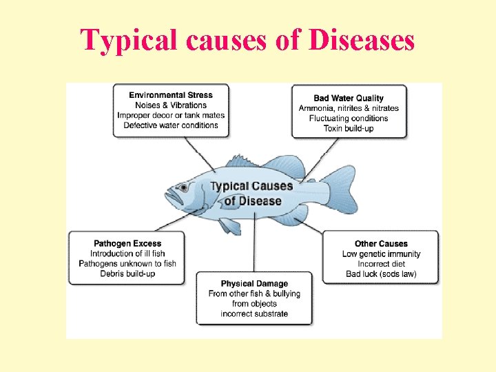 Typical causes of Diseases 