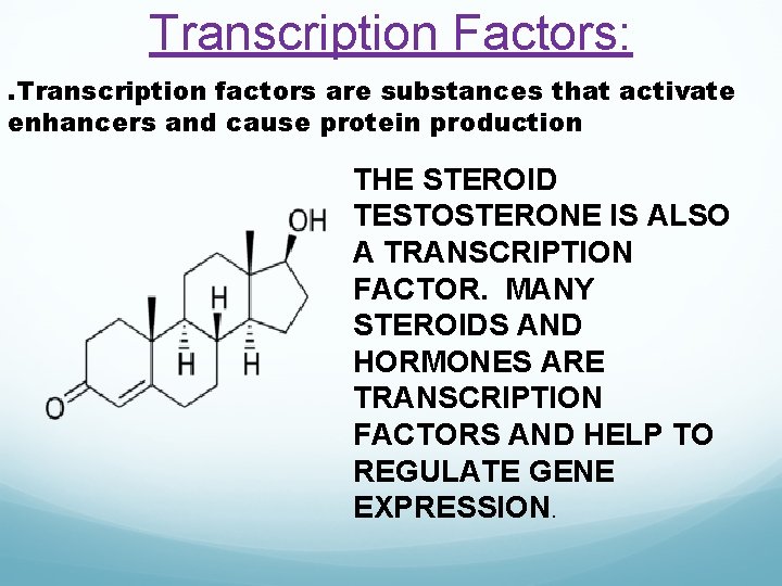 Transcription Factors: . Transcription factors are substances that activate enhancers and cause protein production