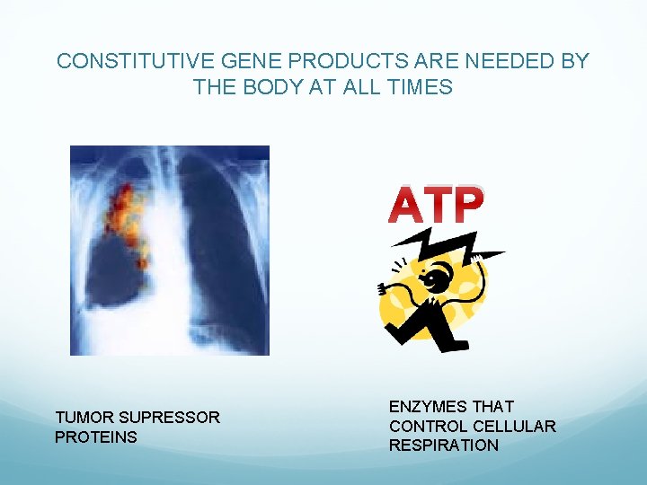 CONSTITUTIVE GENE PRODUCTS ARE NEEDED BY THE BODY AT ALL TIMES ATP TUMOR SUPRESSOR