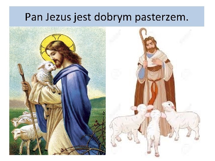 Pan Jezus jest dobrym pasterzem. 