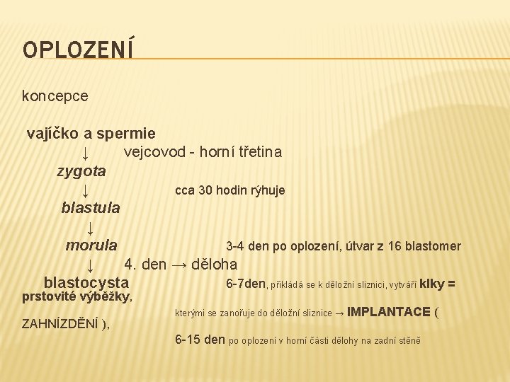 OPLOZENÍ koncepce vajíčko a spermie ↓ vejcovod - horní třetina zygota ↓ cca 30