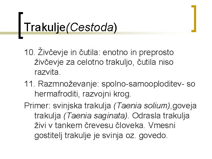 Trakulje(Cestoda) 10. Živčevje in čutila: enotno in preprosto živčevje za celotno trakuljo, čutila niso