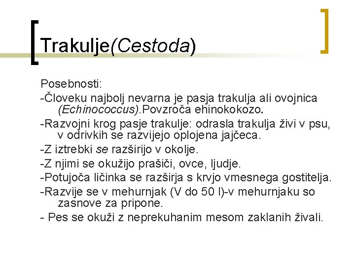 Trakulje(Cestoda) Posebnosti: -Človeku najbolj nevarna je pasja trakulja ali ovojnica (Echinococcus). Povzroča ehinokokozo. -Razvojni