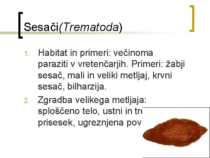 Sesači(Trematoda) 1. 2. Habitat in primeri: večinoma paraziti v vretenčarjih. Primeri: žabji sesač, mali