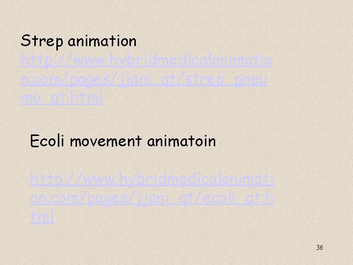  Strep animation http: //www. hybridmedicalanimatio n. com/pages/jjani_qt/strep_pneu mo_qt. html Ecoli movement animatoin http: