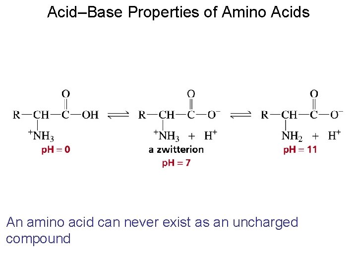 Acid–Base Properties of Amino Acids An amino acid can never exist as an uncharged Acid–Base Properties of Amino Acids An amino acid can never exist as an uncharged