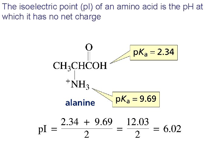 The isoelectric point (p. I) of an amino acid is the p. H at The isoelectric point (p. I) of an amino acid is the p. H at