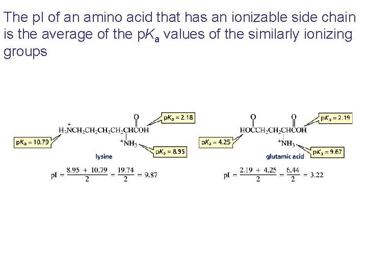 The p. I of an amino acid that has an ionizable side chain is The p. I of an amino acid that has an ionizable side chain is
