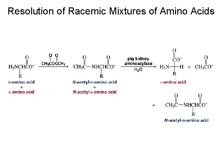 Resolution of Racemic Mixtures of Amino Acids Resolution of Racemic Mixtures of Amino Acids