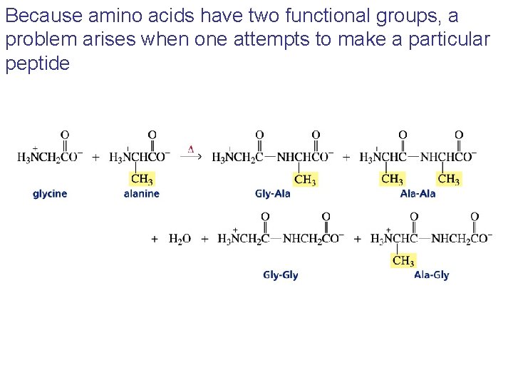 Because amino acids have two functional groups, a problem arises when one attempts to Because amino acids have two functional groups, a problem arises when one attempts to