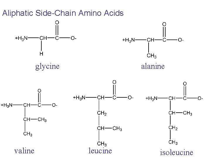 Aliphatic Side-Chain Amino Acids glycine valine alanine leucine isoleucine Aliphatic Side-Chain Amino Acids glycine valine alanine leucine isoleucine