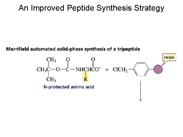 An Improved Peptide Synthesis Strategy An Improved Peptide Synthesis Strategy